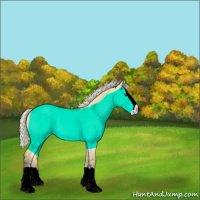 Horse Color:Silver Buckskin Dun Splash 