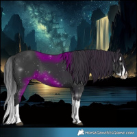 Horse Color:Black Splash 