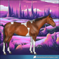 Horse Color:Bay Tobiano 