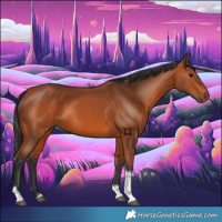 Horse Color:Bay Tobiano 