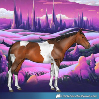 Horse Color:Bay Tobiano 