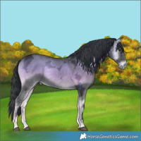 Horse Color:Blue Onyx Chinchilla Ice Mushroom