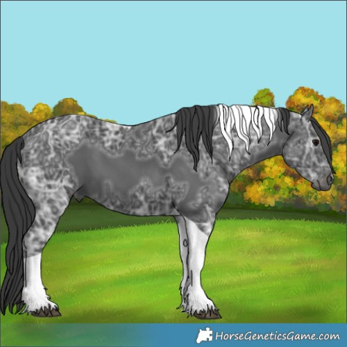 Horse Color:Black Ice Tobiano