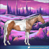 Horse Color:Silver Bay Tobiano