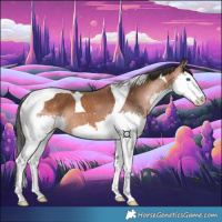 Horse Color:Bay Splash Tobiano 