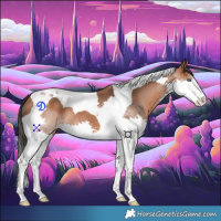 Horse Color:Bay Splash Tobiano 