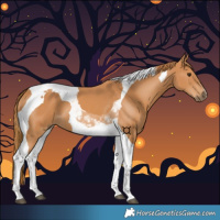 Horse Color:Chestnut Tobiano 