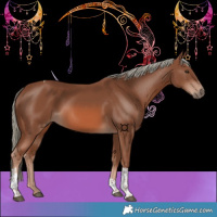 Horse Color:Chestnut Mushroom Tobiano 