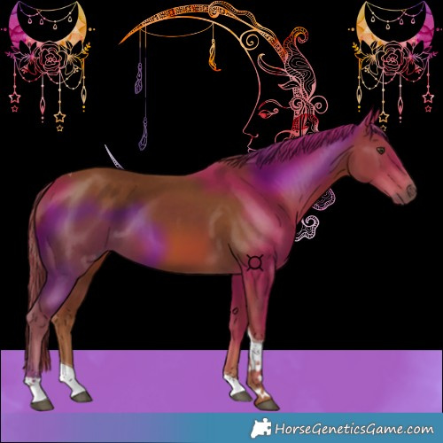 Horse Color:Chestnut Tobiano 