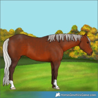 Horse Color:Silver Brown