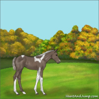Horse Color:Silver Black Tobiano 