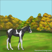 Horse Color:Painted Black Splash Tobiano 