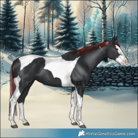 Horse Color:Painted Black Splash Tobiano