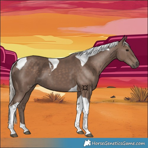 Horse Color:Silver Black Tobiano 