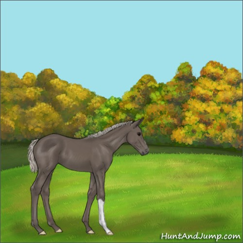 Horse Color:Silver Black 