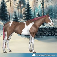 Horse Color:Painted Silver Black Splash Tobiano 