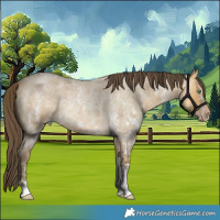 Horse Color:Amber Cream Champagne Roan Sabino Rabicano 