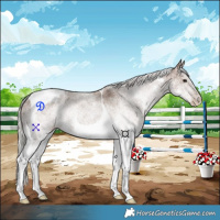 Horse Color:White Spotted Silver Black Tobiano 