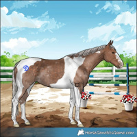 Horse Color:Silver Black Tobiano 