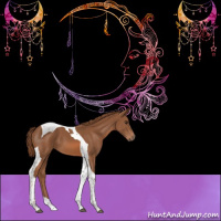 Horse Color:Chestnut Tobiano 