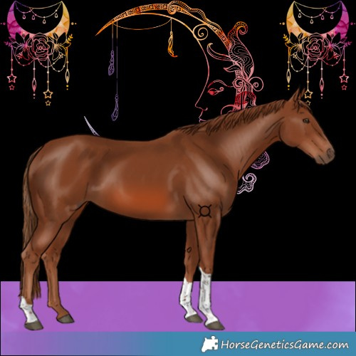 Horse Color:Chestnut Tobiano 