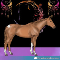 Horse Color:Chestnut Tobiano 