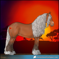 Horse Color:Silver Bay 