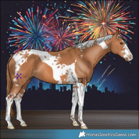 Horse Color:Chestnut Tobiano 