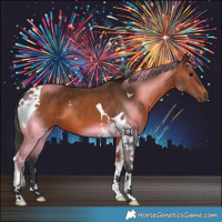 Horse Color:Bay Tobiano 