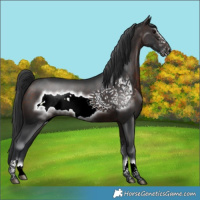 Horse Color:Brown Frame 