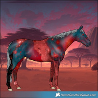 Horse Color:ERROR: UNKNOWN ANOMALY