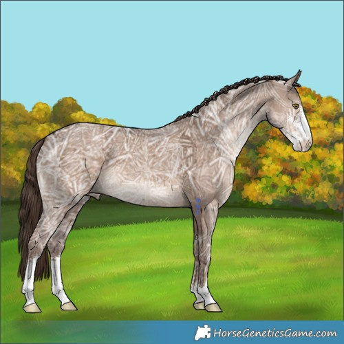 Horse Color:Liver Red Dun Ice Sabino 