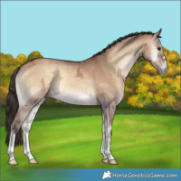 Horse Color:Bay Ice Onyx 