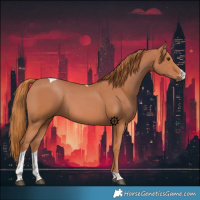 Horse Color:Chestnut Sabino Tobiano