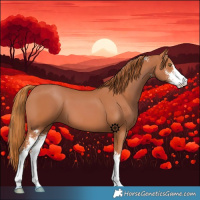 Horse Color:Chestnut Sabino 