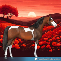 Horse Color:Bay Sabino Tobiano