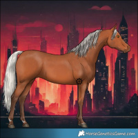 Horse Color:Silver Bay 