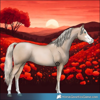 Horse Color:Chocolate Palomino Pearl Sabino 