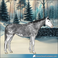 Horse Color:Black Ice Splash 