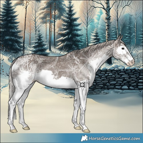 Horse Color:Silver Black Ice Splash 