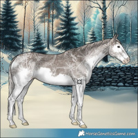 Horse Color:Silver Black Ice Splash
