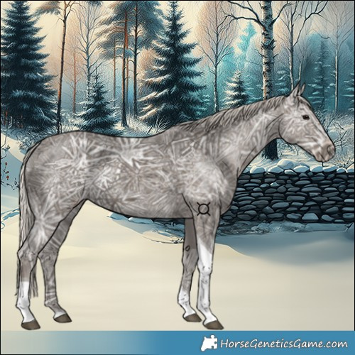 Horse Color:Silver Black Ice Tobiano 