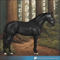 Horse Color:Gray Black 