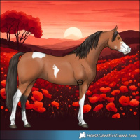 Horse Color:Bay Sabino Tobiano 