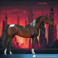 Horse Color:Brown Tobiano 