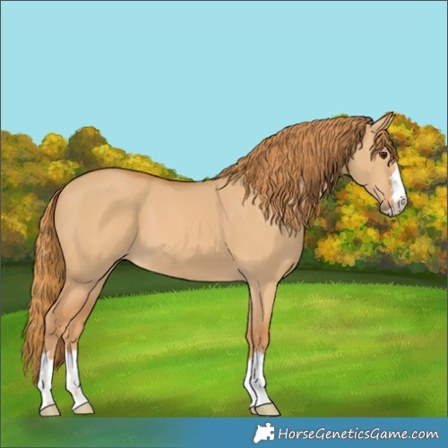 Horse Color:Red Dun 