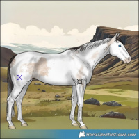 Horse Color:Bay Ice Dun Splash Tobiano 