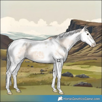 Horse Color:Silver Bay Ice Dun Splash Tobiano 
