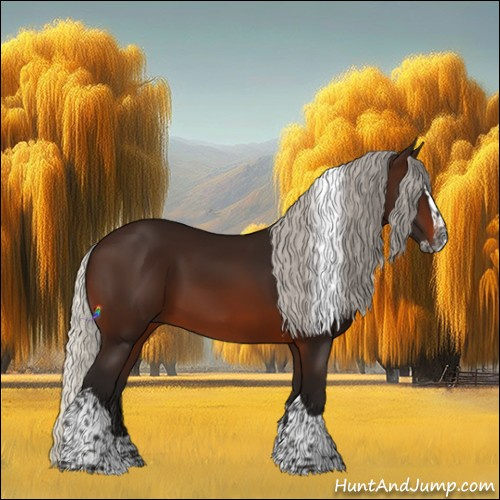 Horse Color:Gray Silver Brown Splash Tobiano