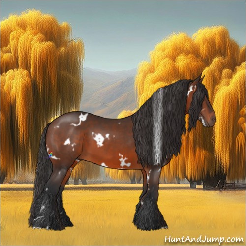 Horse Color:White Spotted Brown 